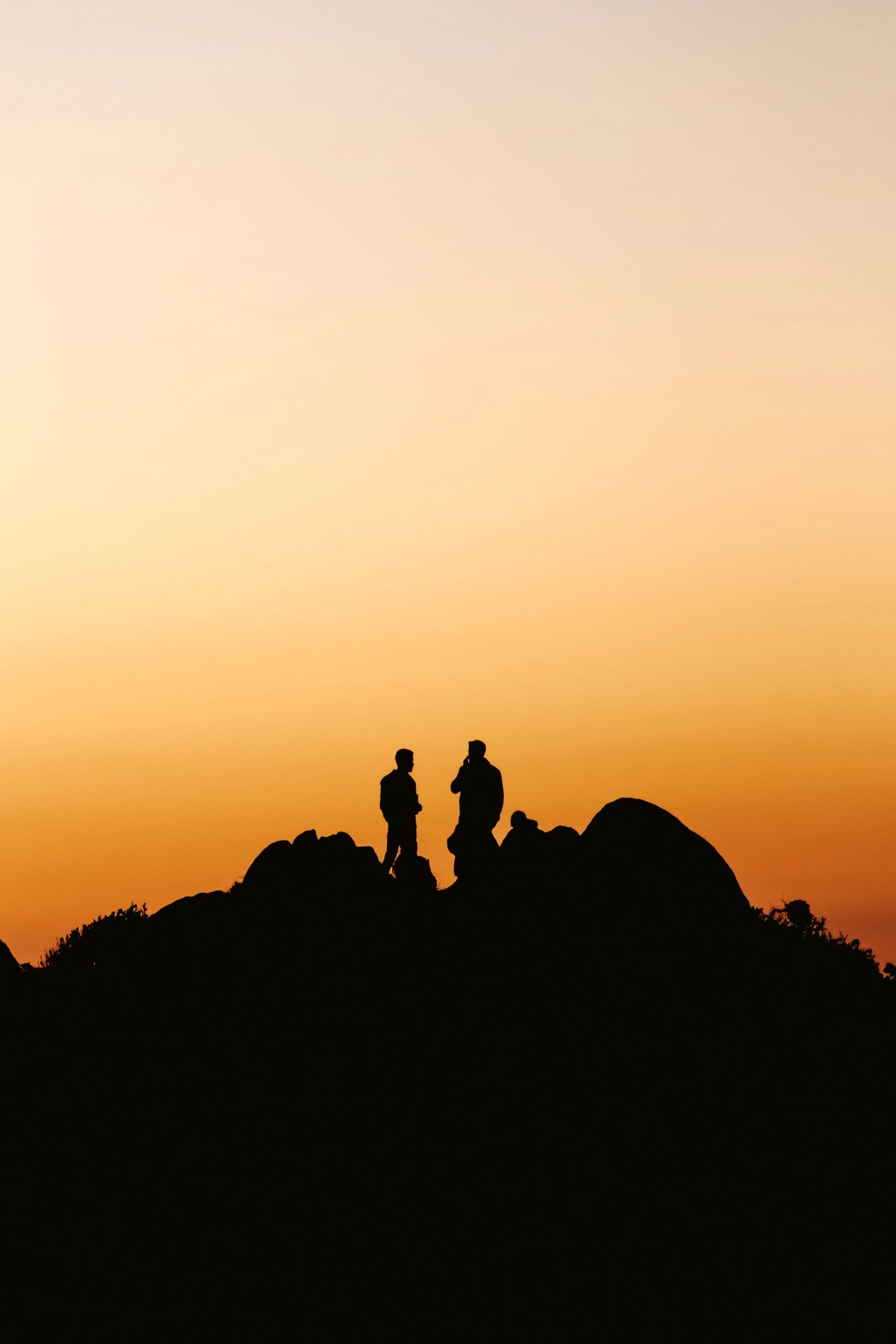 Silhouettes of people standing on a hill at sunset, representing a global community of empowered individuals taking charge of their own well being.